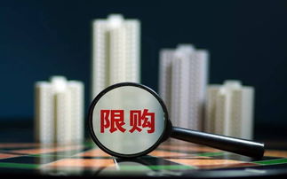 什么是限购限贷 房地产调控的关键政策解析