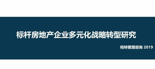 破局与重构 房地产多元化战略转型的深度研究与管理咨询实践